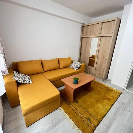 Apartament Ultracentral * Timişoara