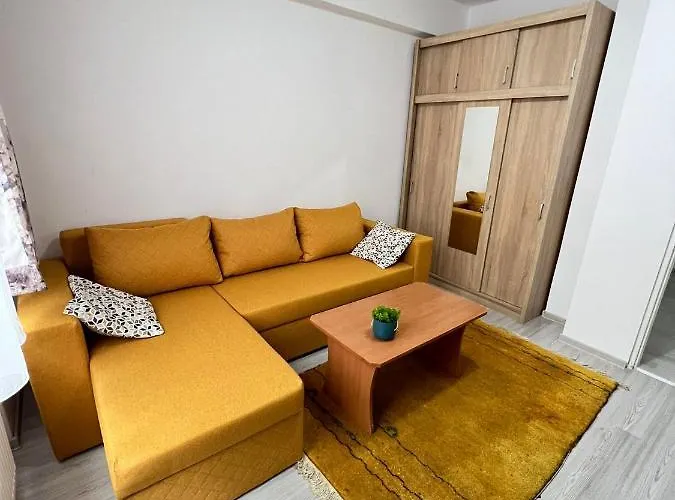 Apartament Ultracentral * טימישוארה